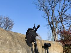 -东湖落雁景区