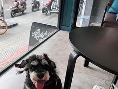 -NokNok Coffee(宽窄巷子店)