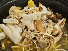 -菌乡缘·野生菌蒸汽鱼火锅(江边夜市店)