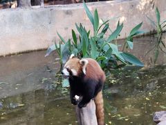 -长鹿旅游休博园