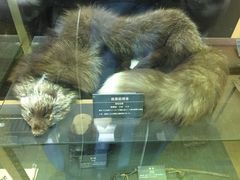 -北海道厅旧本厅舍(旧本庁舎)