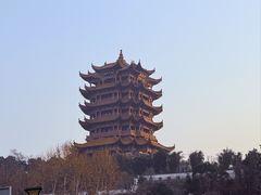 -青云巷·地道湖北菜·武昌鱼(黄鹤楼店)