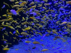 -成都浩海立方海洋公园