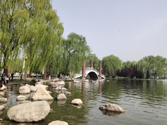 -石家庄市植物园