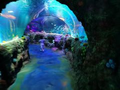 -沈阳海洋探索中心