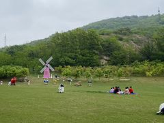 -大连铭湖国际观光牧场