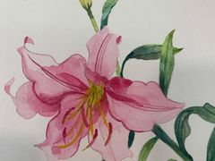 -六出私塾LiuChu•成人美术书法系统课程专业画室(熊婆婆的花园店)
