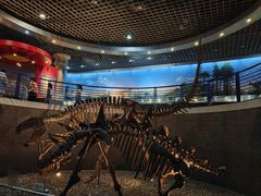 -国家自然博物馆