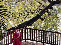 -荔湾湖公园