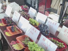 -马陆小张葡萄园农家乐