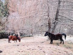 -硗碛藏寨·神木垒景区