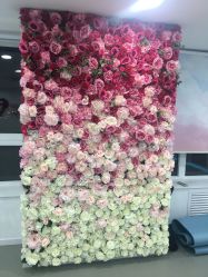 -WITCH （舞季）舞蹈工作室