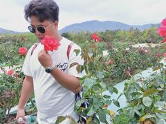 -亚龙湾国际玫瑰谷
