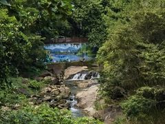 -广州白江湖森林公园