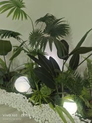 -HEYAN荷妍专业脱毛连锁机构
