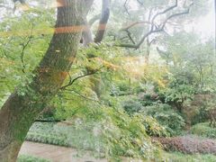 -浙江西子宾馆·瑶园咖啡厅