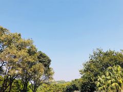 -东莞植物园