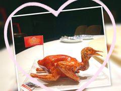 -侨美食家·40年地道粤菜(珠江新城店)