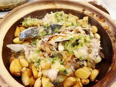 -清新鸡沙田乳鸽店(金融店)