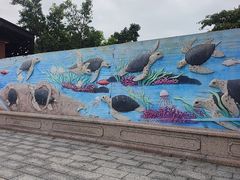 -广东惠东海龟国家级自然保护区