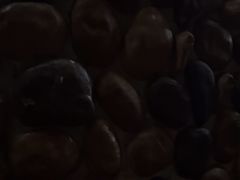 -北里·4k影院式足疗SPA馆(观音桥店)