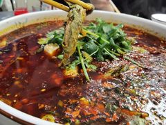 红汤水煮黄辣丁-陈胖子鱼庄(黄辣丁新津店)