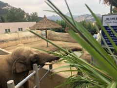 -西霞口神雕山野生动物世界