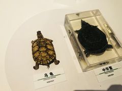 -漩门湾国家湿地公园