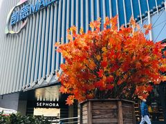 -凯德MALL(望京店)