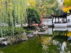 -秋霞圃
