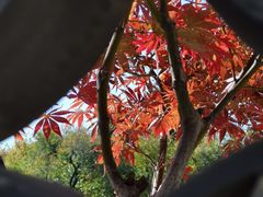 -清晏园
