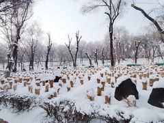 -红山公园