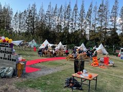 -前小桔亲子创意农场·草莓采摘·露营烧烤