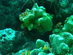 -上海海洋水族馆