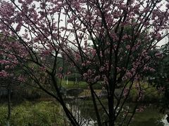 -楠溪江风景名胜区