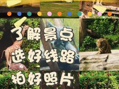 -广州长隆野生动物世界
