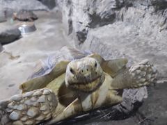 -沈阳森林动物园