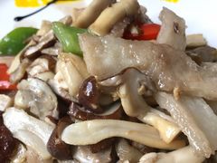 -石屏会馆