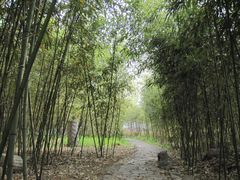 -竹泉村旅游度假区
