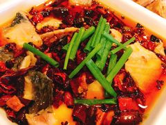 -凯鸽酒楼(大同振兴街店)