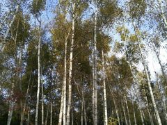 -长春市南湖公园