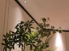 -炉鱼(萧山万象汇店)