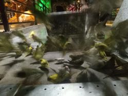 -酷嗒动物文化乐园(cutezoo西溪乐天城店)