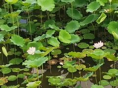 -龙环葡韵住宅式博物馆