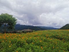 -石台牯牛降景区