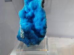 -中国地质大学逸夫博物馆