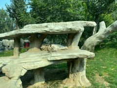 -北京野生动物园