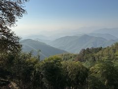 -莫干山风景区