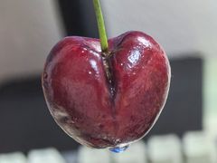 -大商超市(银岛店)