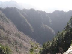 -太平万花山景区